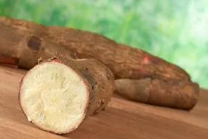 mandioca